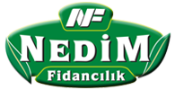 Nedim Fidancılık | Zeytin & Meyve Fidanları